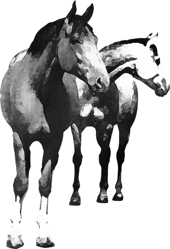 Centre équestre Western Horse Stables, Les Contamines-Montjoie — deux chevaux